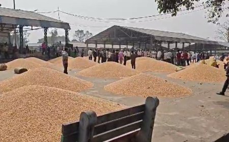 Madhya Pradesh News: मंडी से किसान का गेंहू हुआ गायब- मंडी प्रबंधन पर उठ रहे कई सवाल, छुट्टी की आड़ लेकर बचने का प्रयास कर रहे मंडी सचिव। 