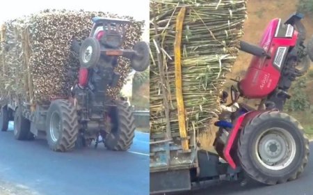 Viral News: खतरों का खिलाड़ी निकला ट्रैक्टर चालक, वीडियो देख रह जाएंगे दंग। 