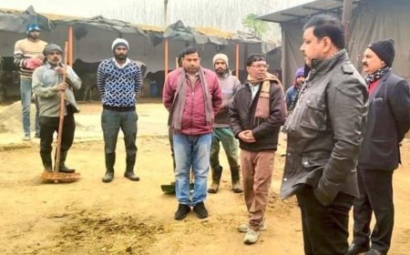 Saharanpur News: गौशाला में गौवंश के लिए बनाया जायेगा रैम्प और फ्लोर 