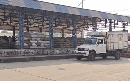 Madhya Pradesh News: कृषि उपज मंडी में चोरों के हौसले बुलंद- मंडी प्रबंधन पर उठ रहे सवाल, सुरक्षा व्यवस्था को मुह चिढ़ाती अव्यवस्था, किसान ने लगाए गंभीर आरोप। 