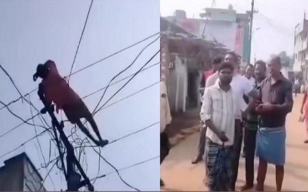 Viral News: आराम फरमाने के लिए बिजली के तार पर लेट गया शख्स, वीडियो वायरल होने पर लोगों ने लिए मजे। 
