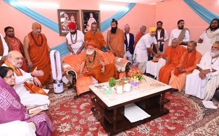 maha kumbh 2025 amit shah seeks blessings from shankaracharyas of shringeri puri and dwarka peeth