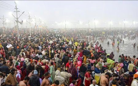 Maha Kumbh 2025: श्रद्धालुओं ने की योगी सरकार की सराहना, योगी जी की व्यवस्था 'सुपर से भी ऊपर', पुलिसवाले कर रहे पूरी मदद