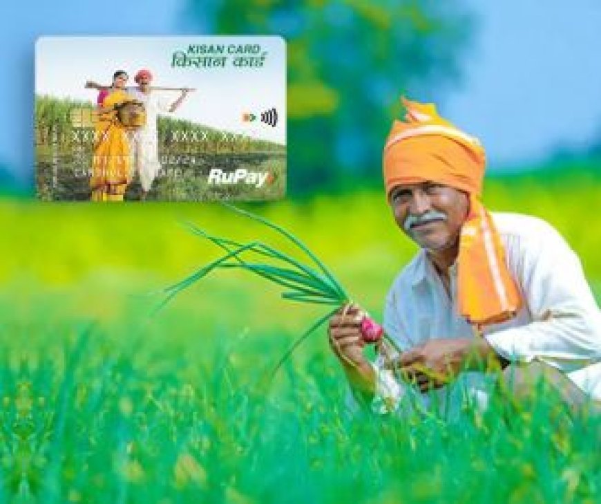 हरदोई: जिले के 76836 किसानों की आरसी जारी, 35 अरब के कर्ज में दबे हैं किसान