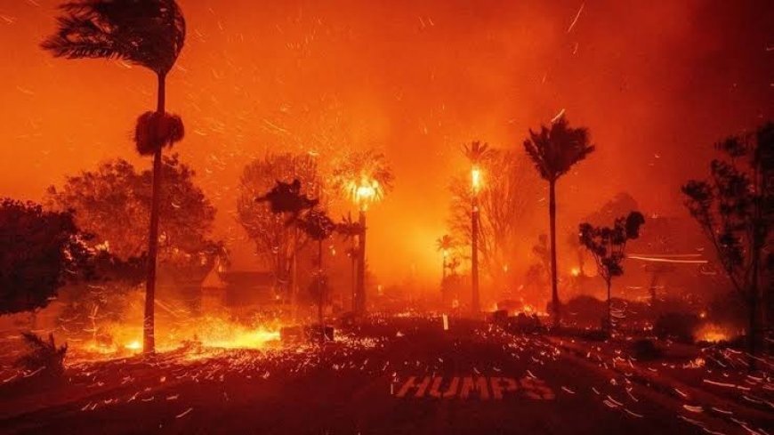 जंगल से लगी आग में कई एक्टर्स के आशियाने जले, बचे घर खाली कर रहे एक्टर्स