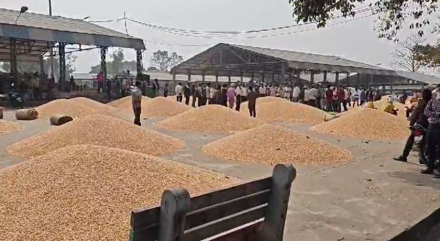 Madhya Pradesh News: मंडी से किसान का गेंहू हुआ गायब- मंडी प्रबंधन पर उठ रहे कई सवाल, छुट्टी की आड़ लेकर बचने का प्रयास कर रहे मंडी सचिव। 