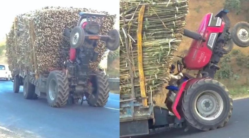 Viral News: खतरों का खिलाड़ी निकला ट्रैक्टर चालक, वीडियो देख रह जाएंगे दंग। 