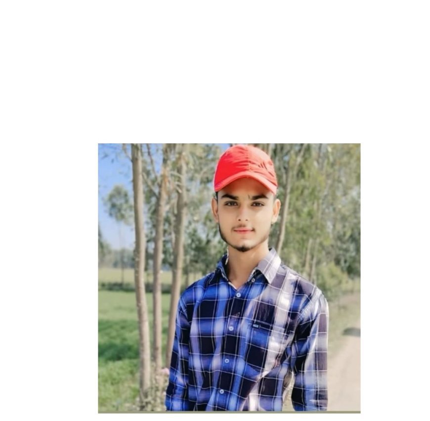 Uttrakhand News: कोसी से रेत निकालते हुए पलटे ट्रेक्टर के नीचे दबकर युवक की मौत