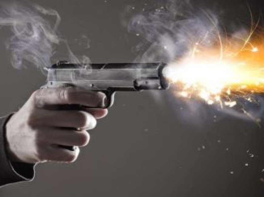 Hardoi News: गोली मारकर हत्या के प्रयास में दो को सात सात साल की कैद।