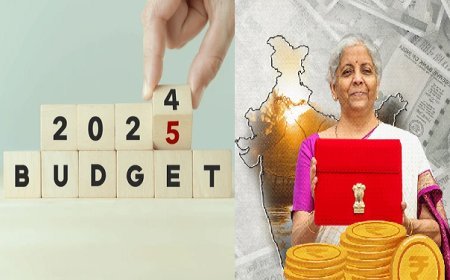Budget 2025: बजट 2025 से आर्थिक स्थिरता, समाजिक समावेशन और रोजगार की उम्मीद।  