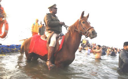 Maha Kumbh 2025: आला अफसरों की मुस्तैदी के बीच अंतिम अमृत स्नान (Amrit Snan) पर्व बसंत पंचमी सकुशल संपन्न, चौकस रही सुरक्षा व्यवस्था, फील्ड पर डटे रहे अफसर