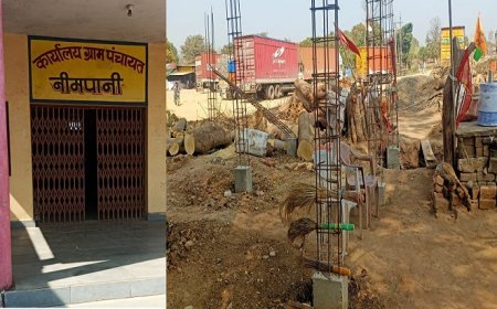 Madhya Pradesh News: नीमपानी पंचायत में चल रहा है भ्रष्टाचार का खेल-  मनरेगा कार्यों में अनियमितता, कलेक्टर से जांच की मांग। 