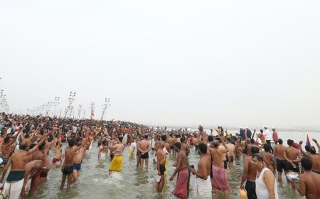 Maha Kumbh: माघ पूर्णिमा स्नान पर प्रयागराज महाकुम्भ में होगा विशेष यातायात प्रबंध, मेला क्षेत्र और शहर में 'नो व्हीकल जोन' लागू