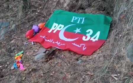 भारत के इस राज्य में मिला पाकिस्तानी पार्टी का झंडा, जांच में जुटी पुलिस।