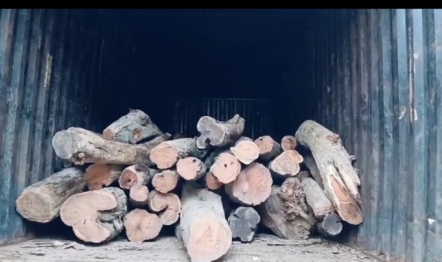 Uttarakhand News: वन विभाग की टीम ने खैर, सागौन से लदे 5 वाहनों को पकड़ा, चार तस्करों को भी किया गिरफ्तार। 