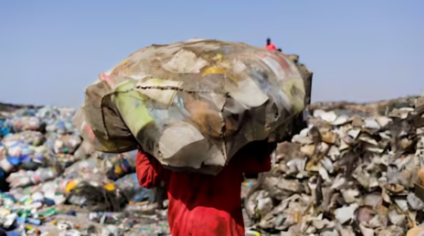 Maha Kumbh 2025: कचरा बीनने वालों को भी मिलेगा 'नमस्ते योजना' का लाभ