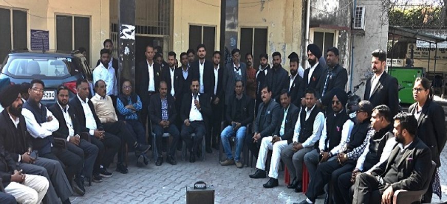 Uttarakhand News: अधिवक्ताओं ने अमेंडमेंट बिल के विरोध में अनिश्चितकालीन हड़ताल, रजिस्टार कार्यालय में जाकर हंगामा कर प्रदर्शन किया। 