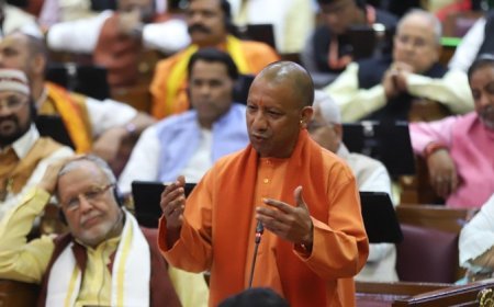 Budget News 2025:  कृषि मण्डी में माता शबरी के नाम पर कैण्टीन और विश्रामालय स्थापित किया जाएगा- मुख्यमंत्री