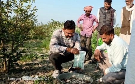 Lucknow News: महाकुम्भ के बाद अब संगम की रेती उगलेगी सोना, पांच लाख प्रतिमाह कमाई का अवसर।  