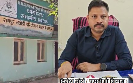 Madhya Pradesh News: खबर का असर- बैतूल की खबर अवैध कटिंग और अतिक्रमण के मामले में जांच दल गठित कर पहुँचे एसडीओ। 