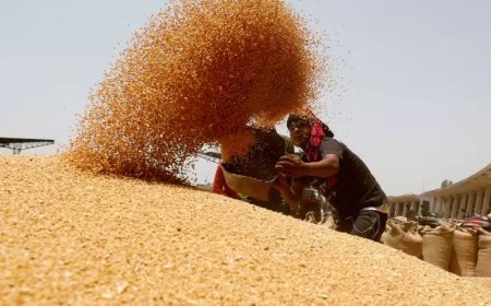 Lucknow News: 17 मार्च से प्रदेश में शुरू होगी गेहूं खरीद, अब तक 2.65 लाख किसानों ने करा लिया है पंजीकरण, बटाईदार किसानों से भी होगी खरीद