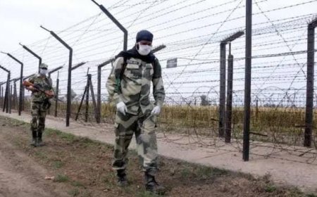 पति से इस कदर परेशान हुई महिला सीमा पार कर भारत में पहुंची, BSF ने पकड़ा।