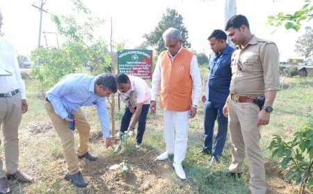 Bahraich News: राज्यमंत्री डा. अरुण कुमार सक्सेना सभी पौधरोपण स्थलों में सुरक्षा एवं सिंचाई व्यवस्था करने के निर्देश दिए