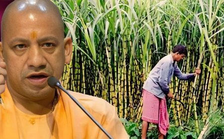 Lucknow News: मथुरा की छाता चीनी मिल और गोरखपुर में नई एथेनॉल डिस्टलरी की स्थापना की कार्यवाही तेज, जल्द मिलेगी प्रदेश को सौगात