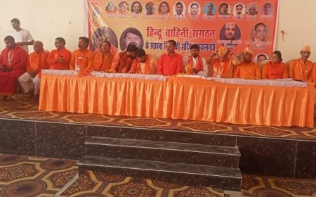 Sitapur News: धूम धाम के साथ मनाया गया हिन्दू वाहिनी का चौथा स्थापना दिवस।