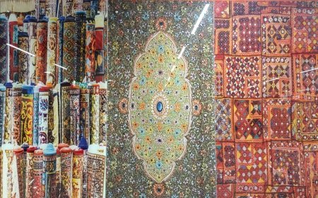 Kanpur News: स्थापना दिवस विशेष- कानपुर की सांस्कृतिक पहचान और विरासत को सहेज रहे कानपुर मेट्रो स्टेशन