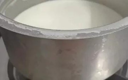 Rajasthan News: बिल्ली बनी बच्ची की मौत की वजह, खोलते दूध में गिरी मासूम बच्ची। 