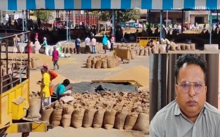 Palwal News: एक अप्रेल से गेहूं की फसल की होगी सरकारी खरीद, मंडी में व्यापक इंतजाम। 