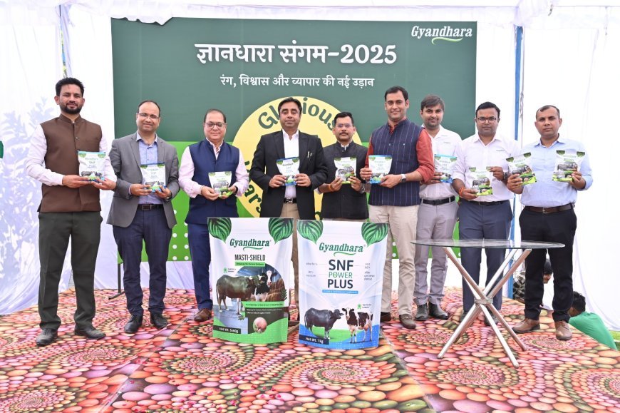 Hardoi News: ज्ञानधारा की 7वीं वर्षगांठ पर होली मिलन समारोह का आयोजन, 2 नए उत्पाद लांच किये