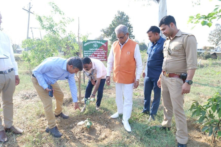 Bahraich News: राज्यमंत्री डा. अरुण कुमार सक्सेना सभी पौधरोपण स्थलों में सुरक्षा एवं सिंचाई व्यवस्था करने के निर्देश दिए