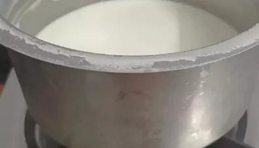 Rajasthan News: बिल्ली बनी बच्ची की मौत की वजह, खोलते दूध में गिरी मासूम बच्ची। 