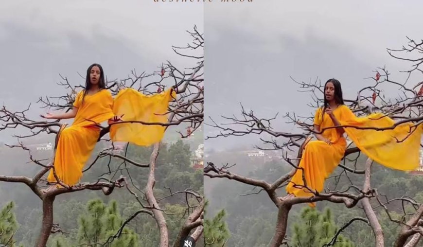 Viral News: पेड़ों की रानी ने लोगों को दी चेतावनी, अगर काटे पेड़ तो लूंगी इंतजाम, देखें वीडियो