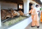 यूपी में गोपालन की नई क्रांति! 200 गायों से ₹2 करोड़ तक कमाई, तकनीक और बाजार से बदलेगी तस्वीर
