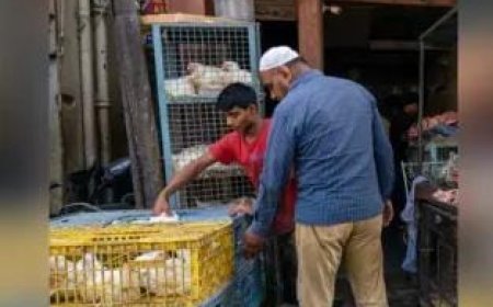 MP News: नवरात्र को लेकर मांस की दुकान खोलने पर लगी रोक, इन तारीखो तक रहेंगी दुकाने बंद। 