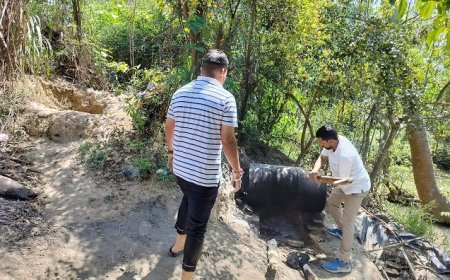 Uttarakhand News: 6 कच्ची अवैध शराब की भटिया तोड़ी 10 हजार लीटर लहन नष्ट किया। 