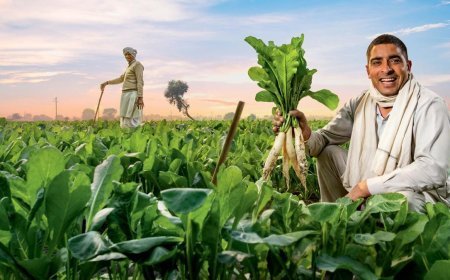 Lucknow News: UP farmers can sell their crops from home until June 30