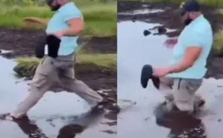 Viral News: दलदल के सहारे भाई रास्ता कर रहा था पार, तभी हुआ कुछ ऐसा शख्स हुआ गायब।