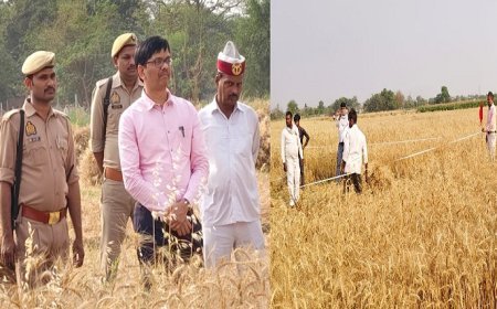 Ballia News: जिलाधिकारी ने ग्राम टकरसन में फसल गेहूं की क्रॉप कटिंग के कार्यों का किया निरीक्षण। 