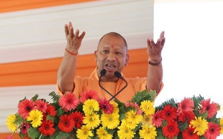 Gorakhpur News: अन्नदाता का हित सर्वोपरि, फसलों को आग से बचाने का हो युद्धस्तरीय प्रयास- सीएम योगी