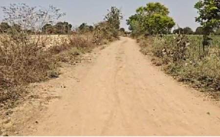 Madhya Pradesh News: आरईएस के ठेकेदार की मनमानी- सुदूर पहुँच मार्ग में भारी अनियमितता, ग्रामीणों ने कहा गुणवत्तापूर्ण कार्य न होने पर करेंगे आंदोलन। 