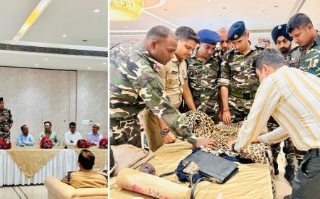 Pilibhit News: वन और वन्यजीवों की सुरक्षा हम सबका दायित्व- डीएम संजय कुमार सिंह