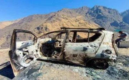 UK News: आर्थिक तंगी ने भाई-बहन की ले ली जान, भाई ने पहले बहन को जलाया फिर खाई में कूद कर दी जान