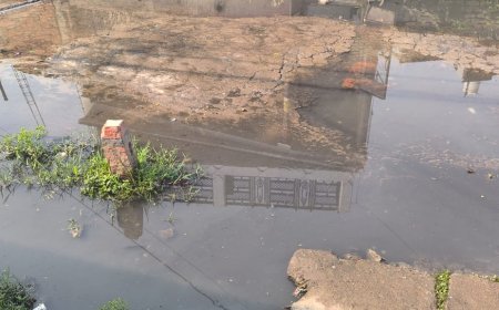 Hardoi News: धार्मिक भेदभावपूर्ण विकासकार्यों को देख मुख्य मंत्री से भाजपा नगर अध्यक्ष ने की शिकायत