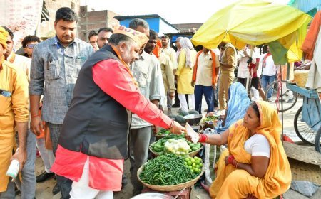 Ballia News: सरकार की उपलब्धियों को गिनाने मैदान में उतरे मंत्री, परिवहन मंत्री दयाशंकर सिंह ने गांव चलो अभियान के तहत हल्दी में घर-घर किया जनसंपर्क