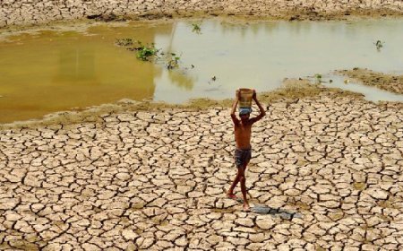 Hardoi News: सौ से ज्यादा तालाबों में उड़ रही इन दिनों धूल, गर्मी बढ़ते ही सूखने लगे तालाब, जंगली जीव जंतु व मवेशी पानी संकट से परेशान। 