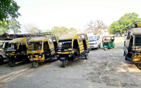 Hardoi News: पुलिस ने 17 अवैध डग्गामार वाहनों को सीज किया, यातायात नियमों को न मानने वालों पर पुलिस ने चलाया कार्यवाही का चाबुक